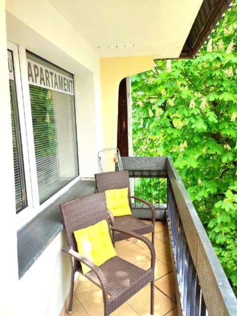Apartament Bialy Mis Centrum Zakopane Dış mekan fotoğraf